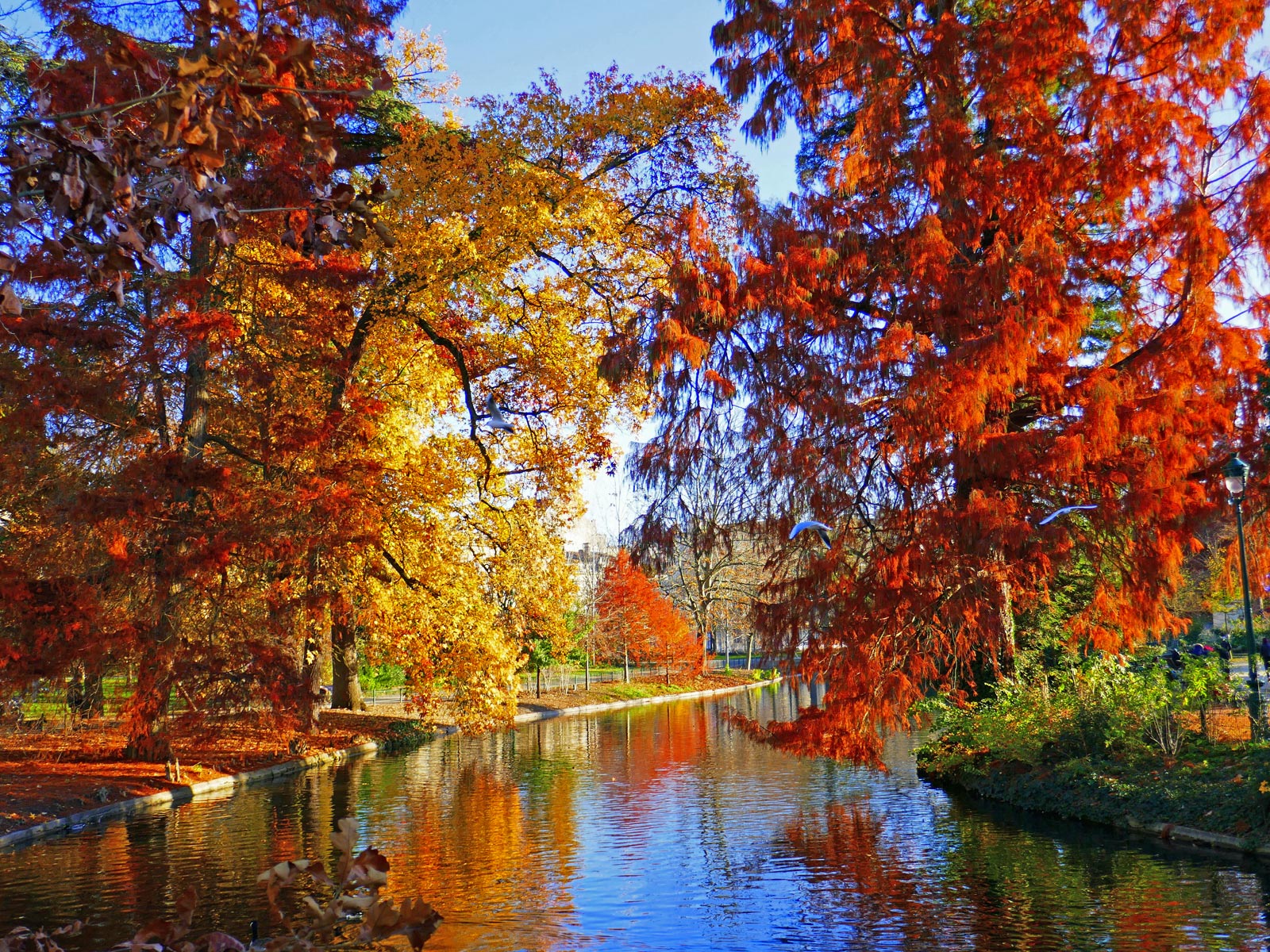 What to do in autumn in Bordeaux and Gironde?  ...