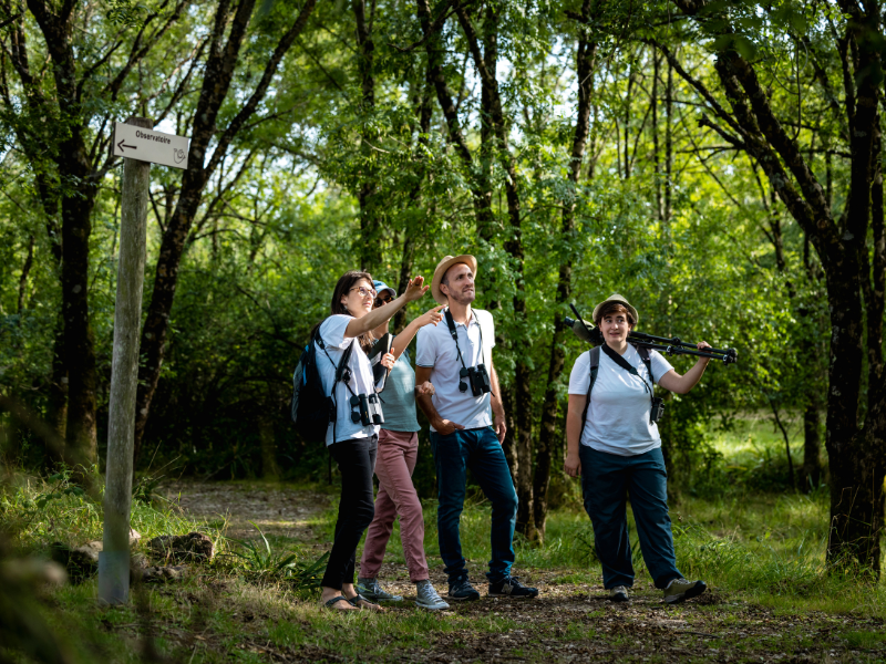 Initiation à l'ornithologie à Terres d'Oiseaux