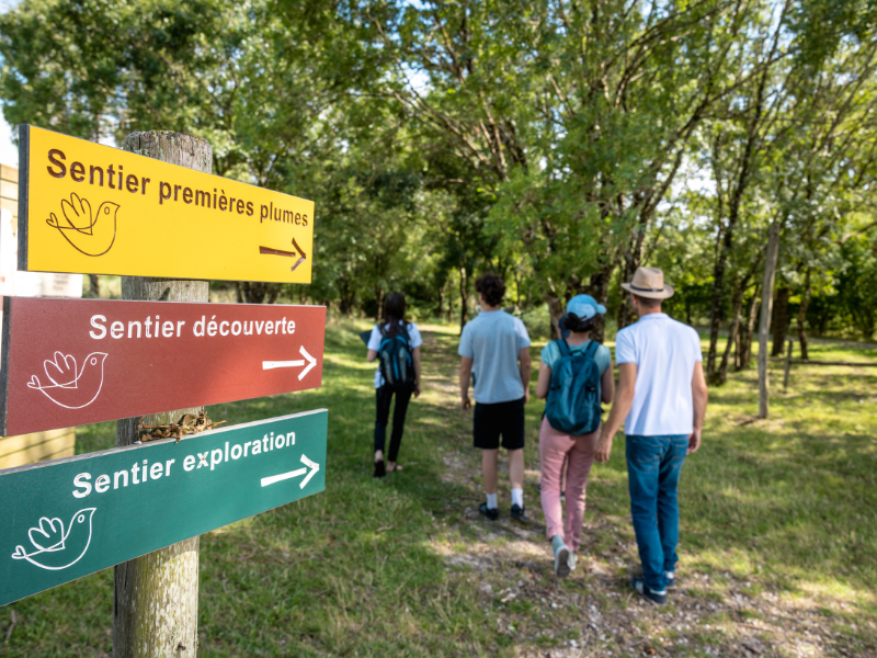 Samedi ornitho à Terres d'Oiseaux