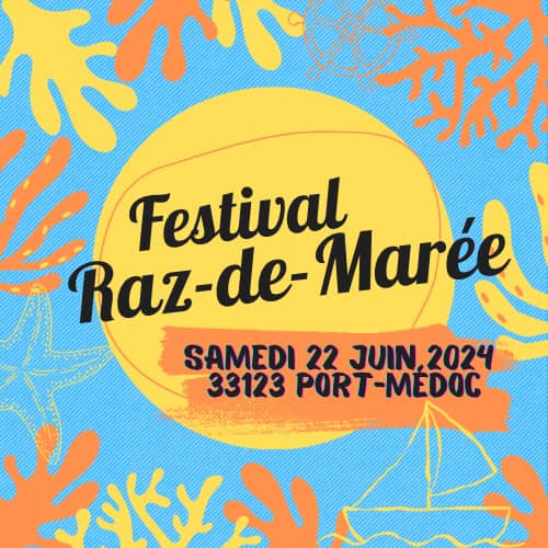 Festival Raz-de-Marée edition 1 par "Les vieux ...