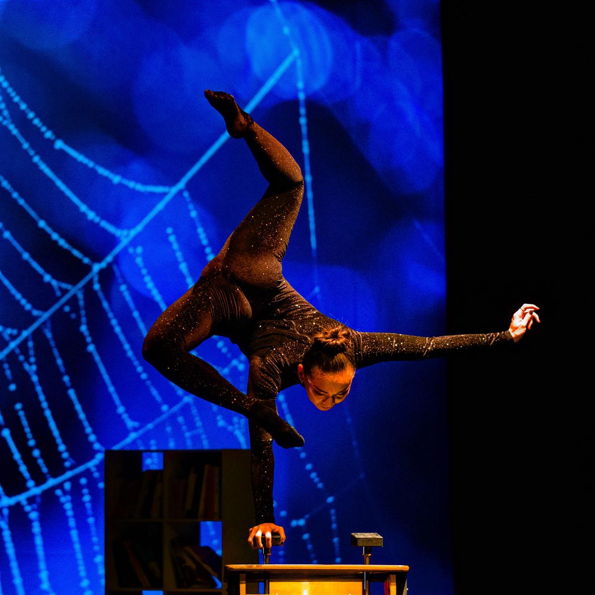 Cie Haspop Cirque du grand Lyon "Bibliotek, éc ...