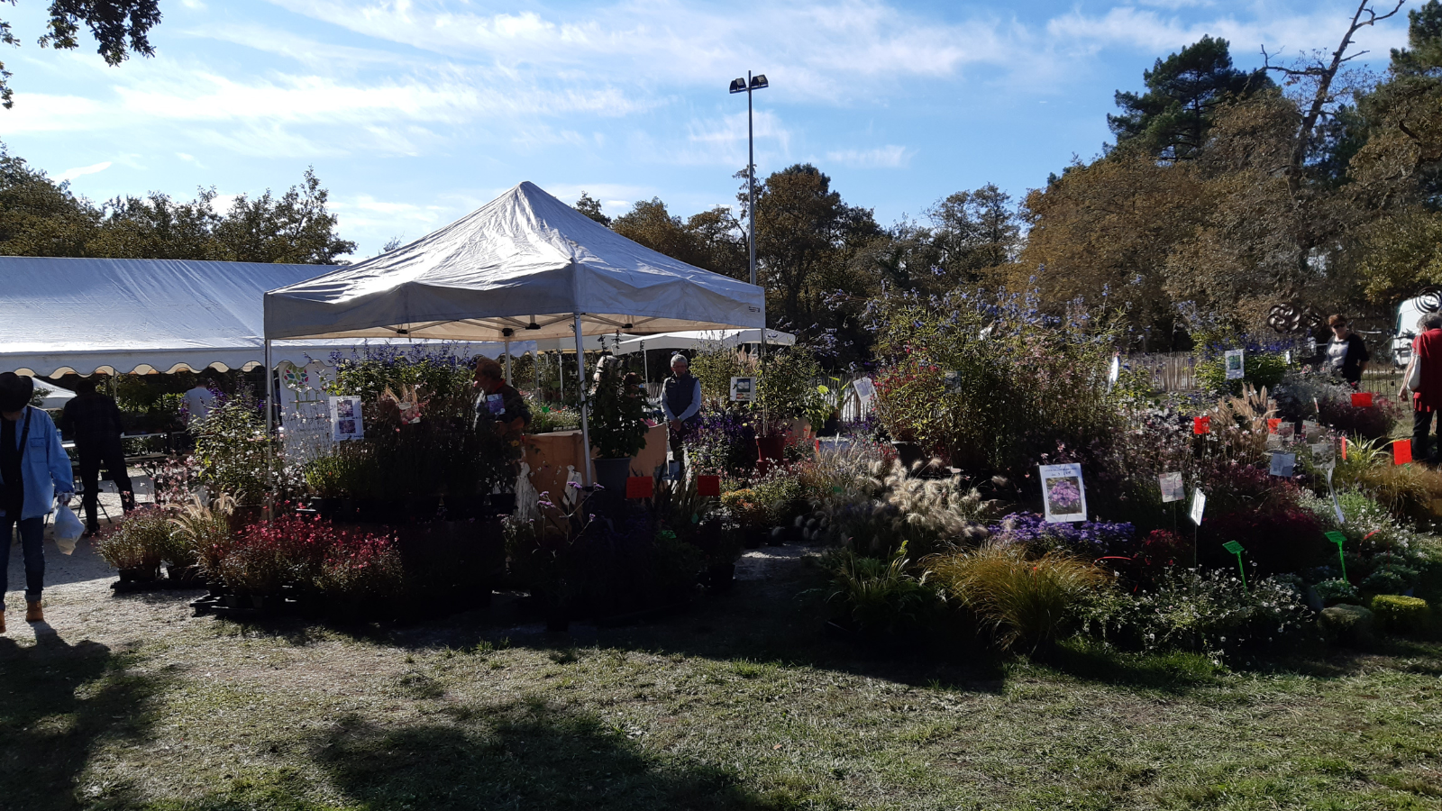 JARDINS ET SAVEURS D AUTOMNE