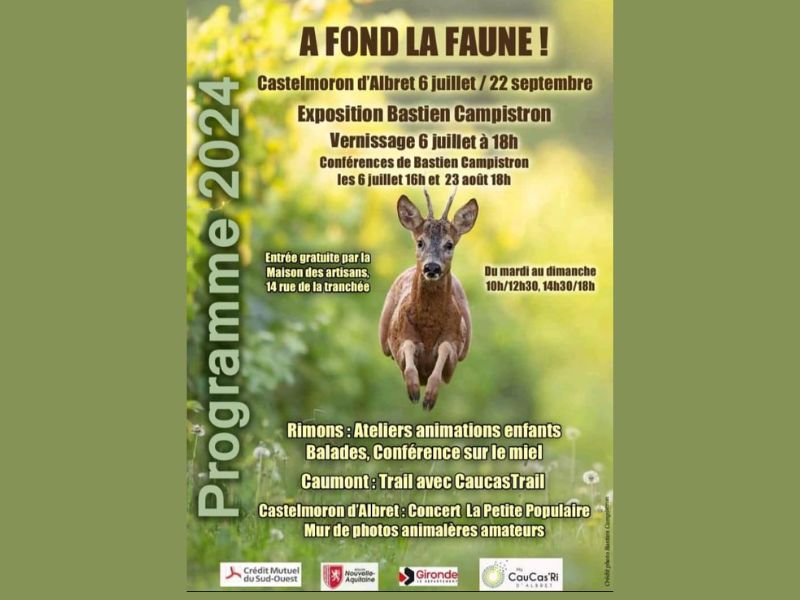 Exposition "À fond la faune !"