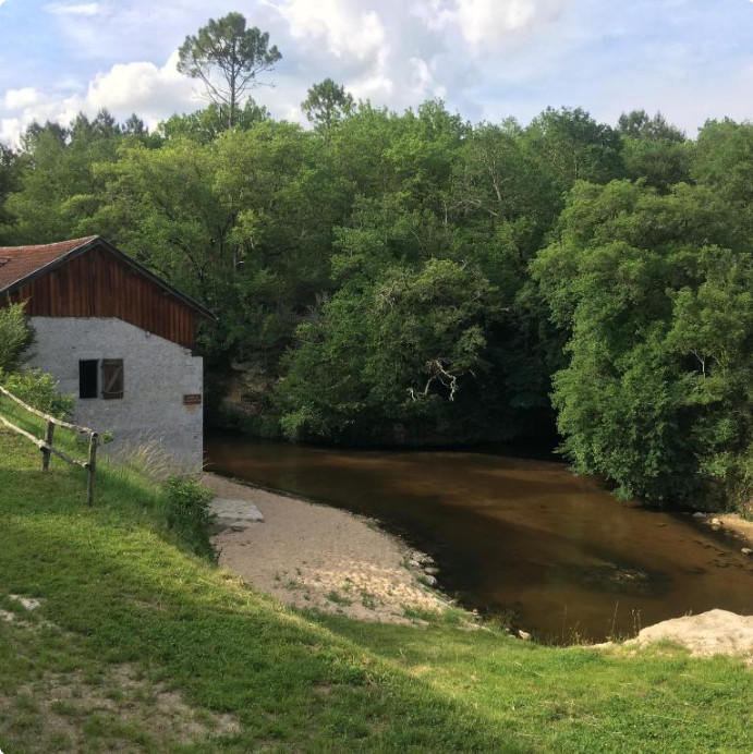 Le Ciron au moulin de Caussarieu