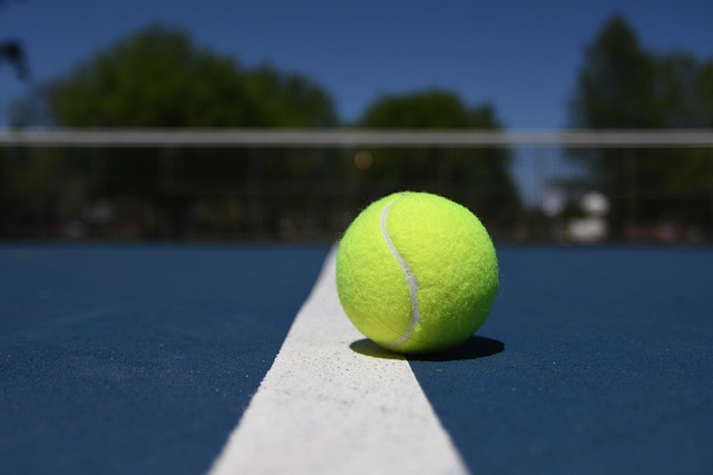 Tennis Tournoi de vache