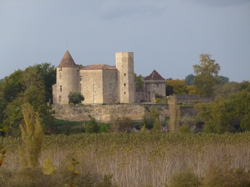 Visite du Château du Puch de Gensac à l'occasi ...