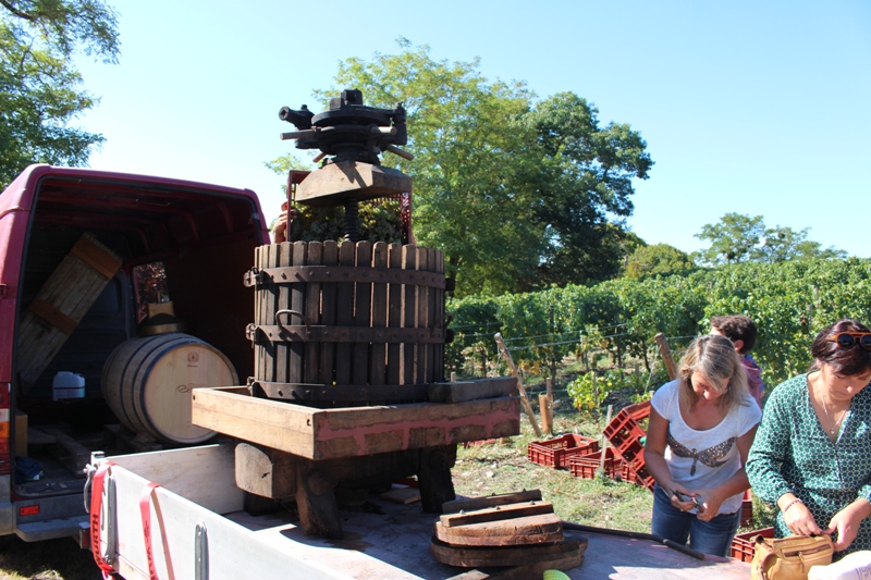 Journée initiation vendanges au Château Petit  ...