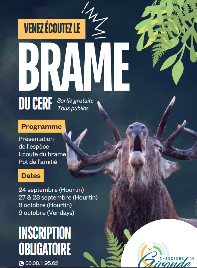 Venez écouter le brame du cerf gratuit sur ins ...