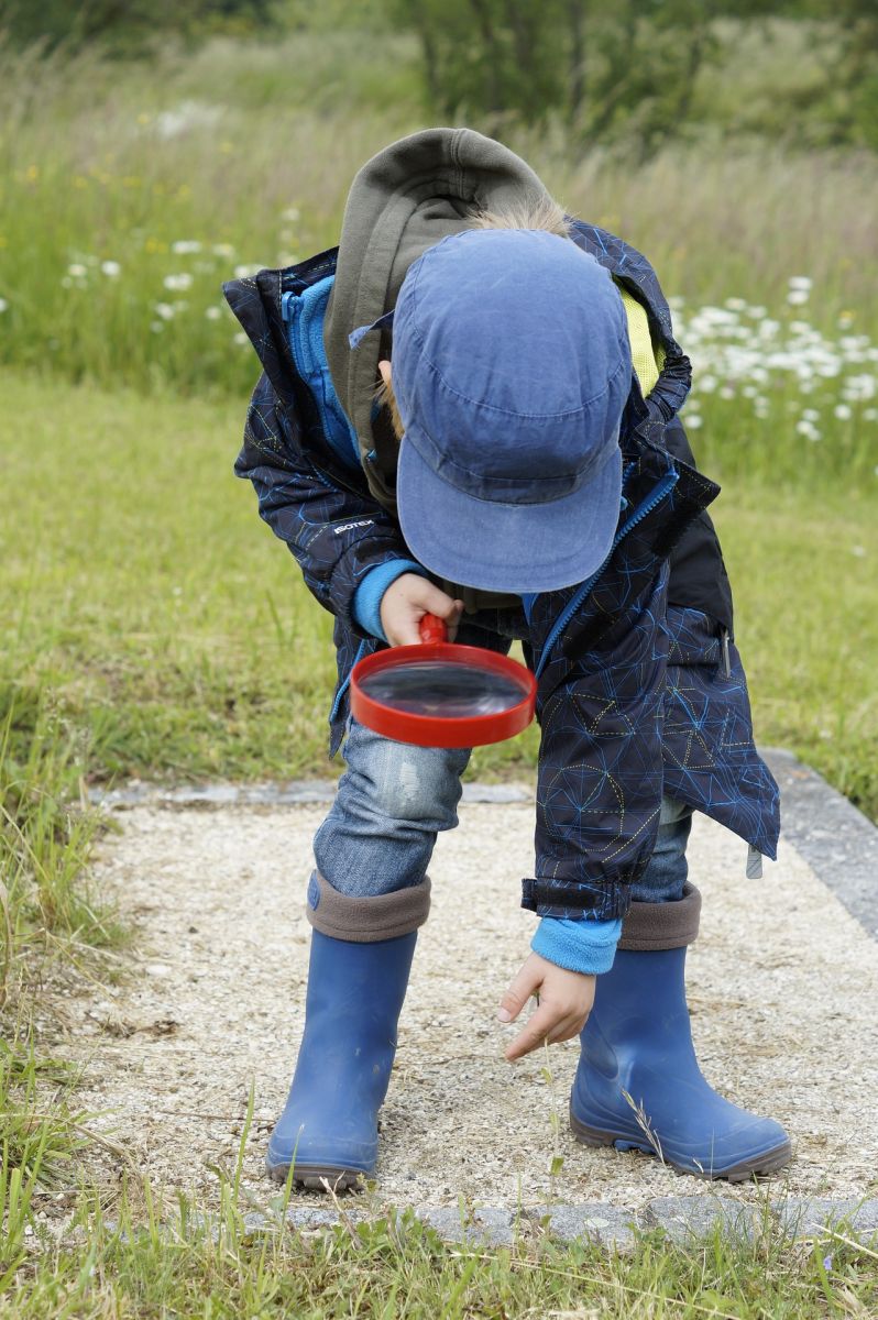 Sur les traces des animaux