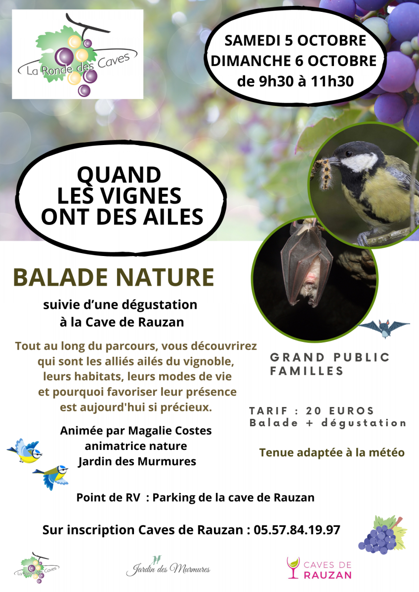 BALADE NATURE : Quand les vignes ont des ailes