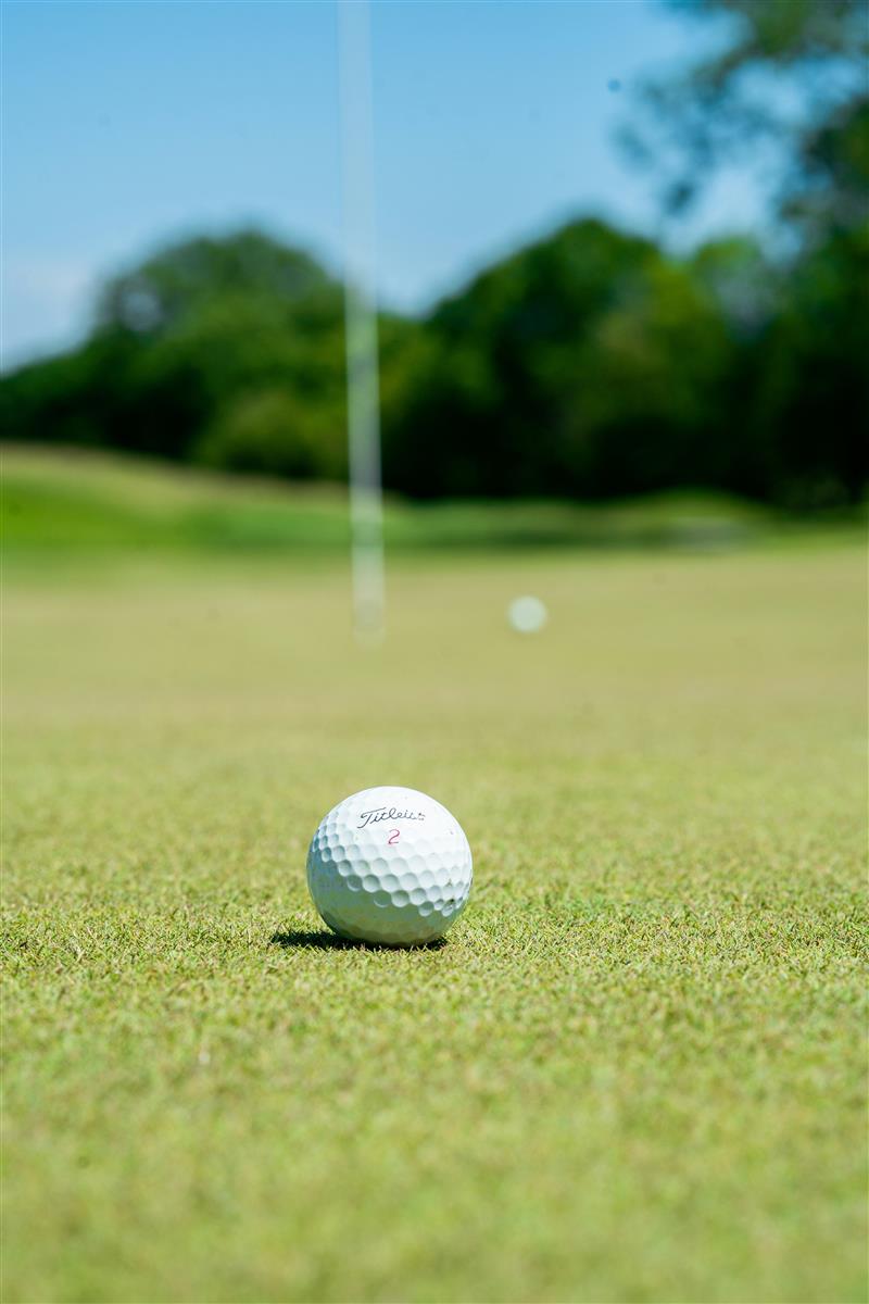 Compétition de Golf : Coupe du Perso - 4ème éd ...