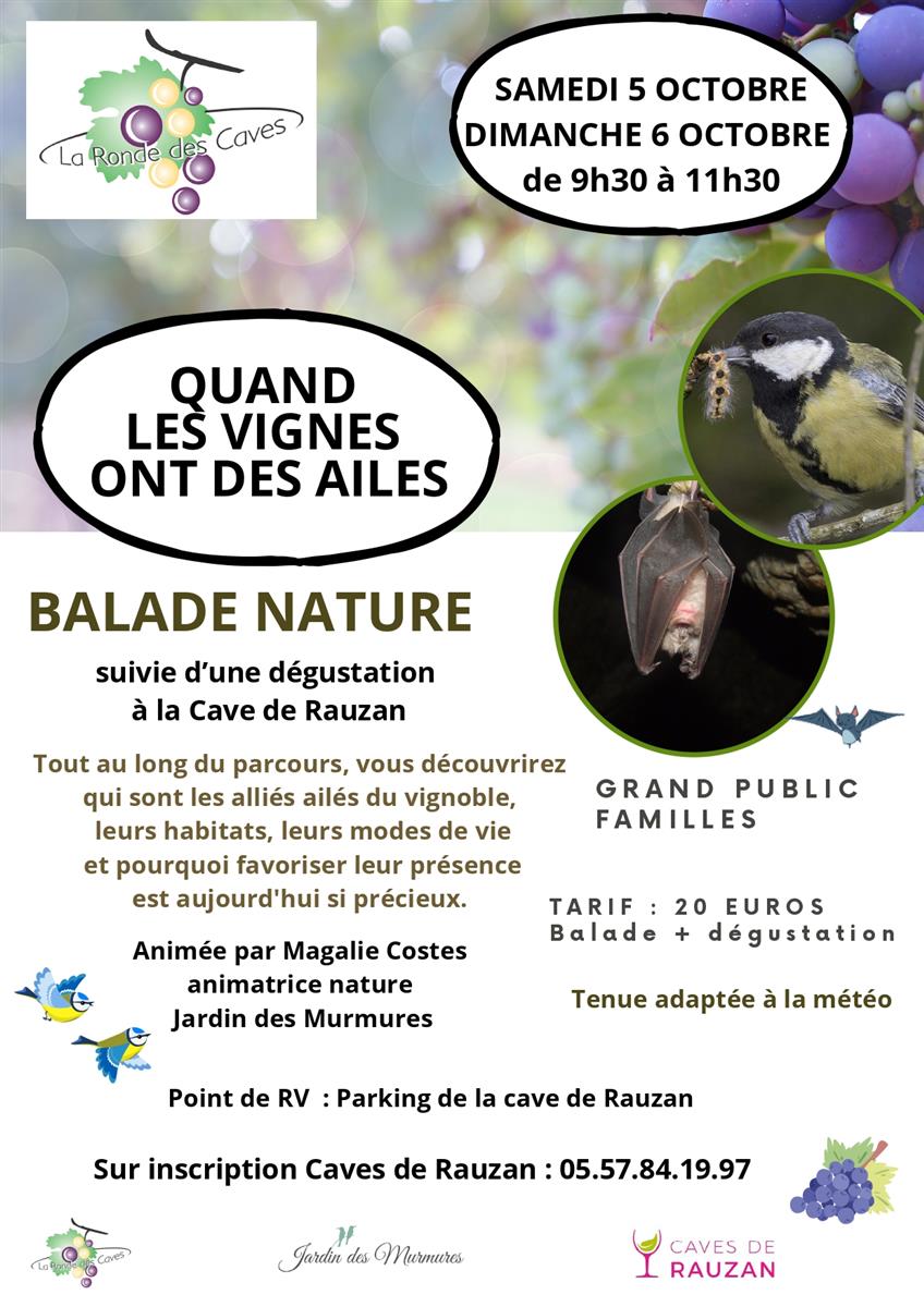 Balade nature: Quand les vignes ont des ailes