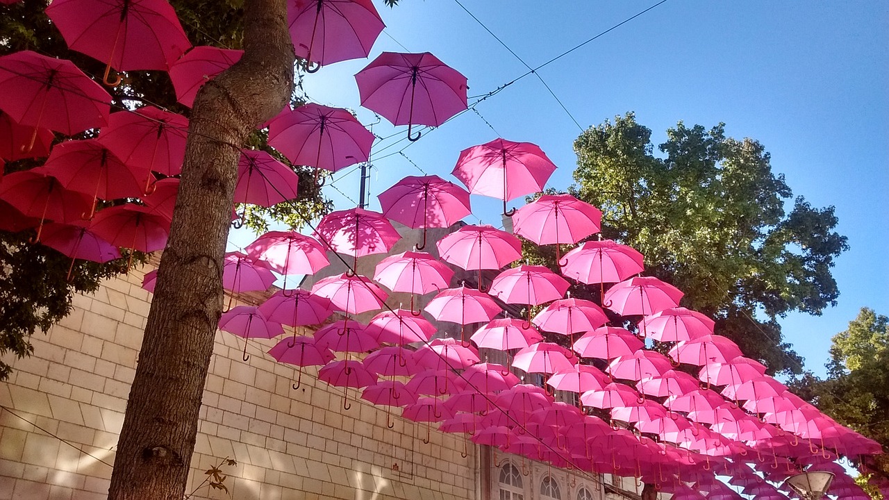 Randonnée et soirée pour octobre Rose à Cars