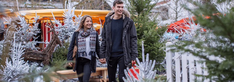 Le village de Noël avec des chalets gourmands  ...