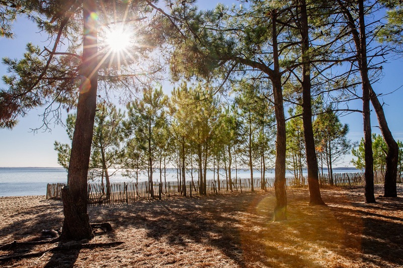 Randonnée nature, espaces et espèces protégés