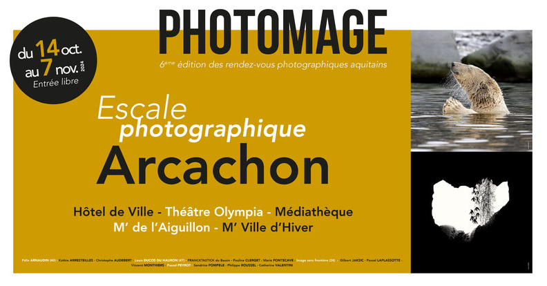 Photomage : visite commentée de l'exposition F ...