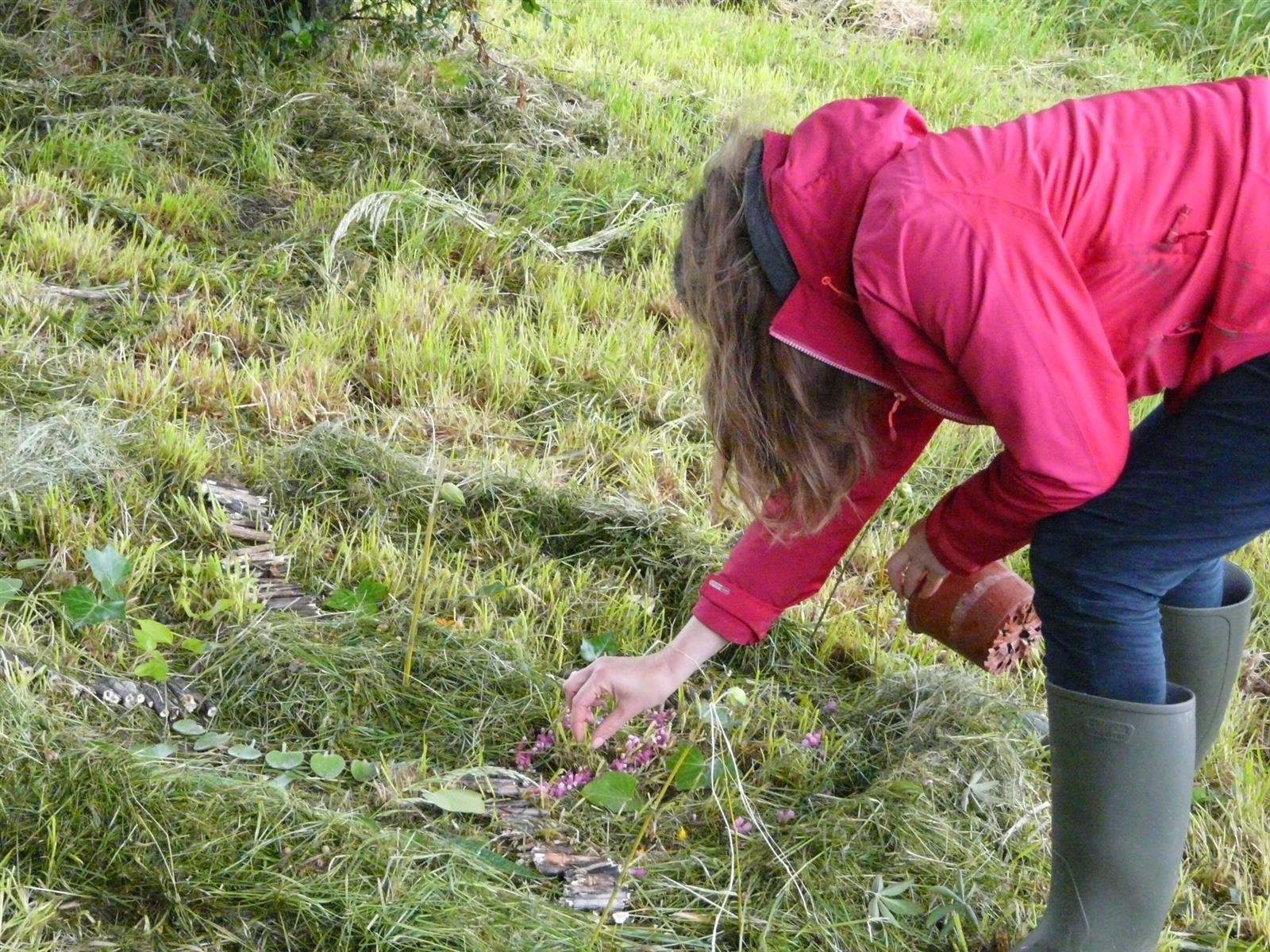 Ateliers Land Art Expérimental - sur réservation