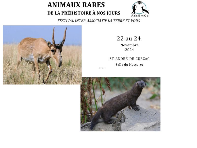 Animaux rares de la préhistoire à nos jours -  ...