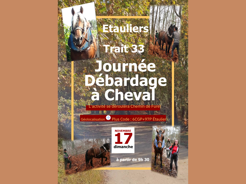 Journée de débardage à Cheval