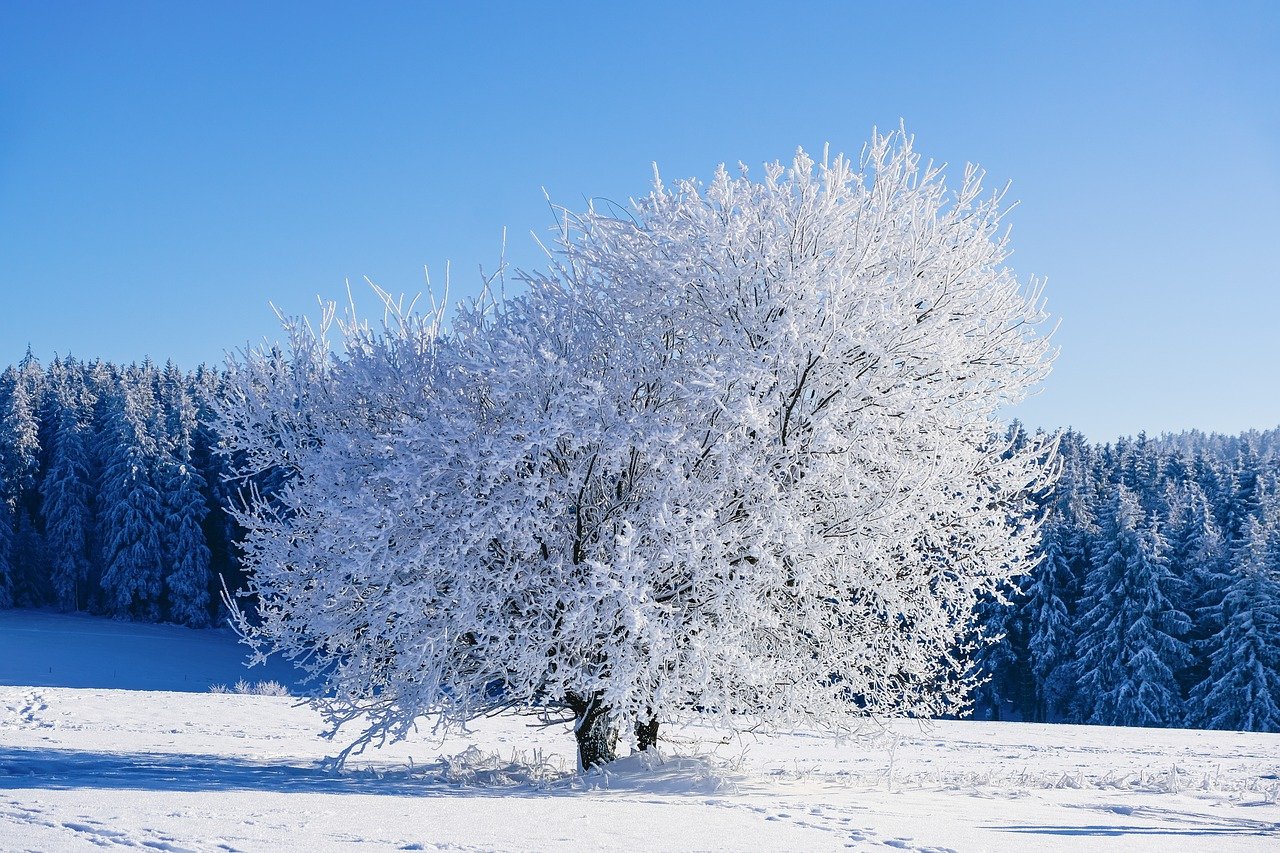 Confection d'un paysage d'hiver