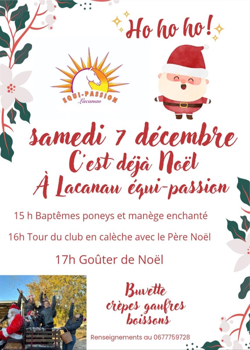 Oh Oh Oh ! C'est déjà Noël à Equi Passion !