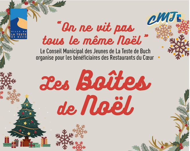 Boîtes de Noël