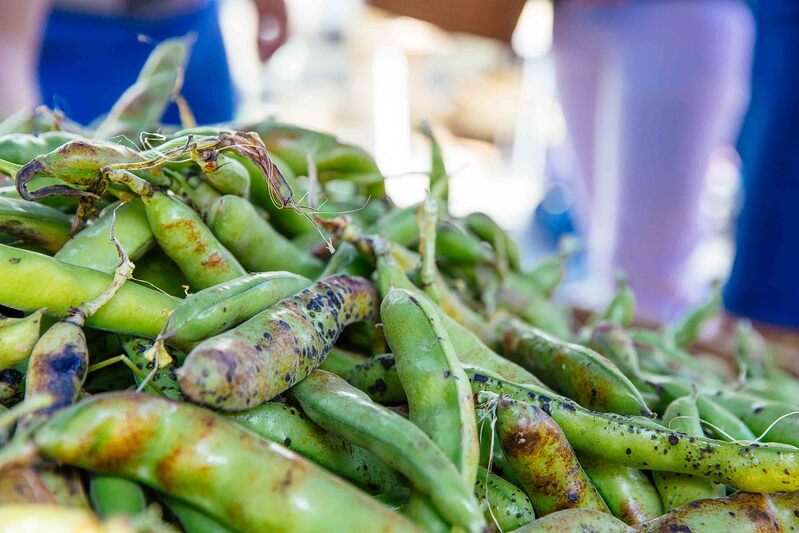 Marché de Saint-Macaire le jeudi et le dimanche