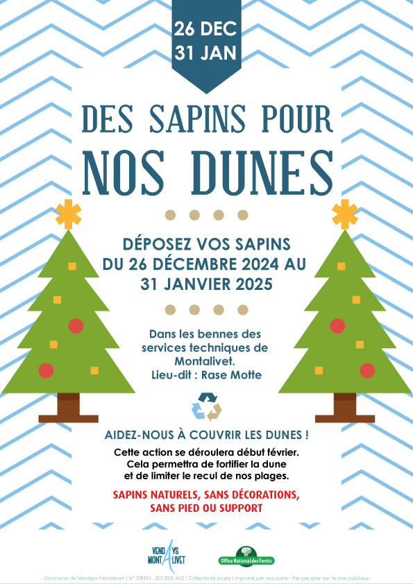 Des sapins pour nos dunes