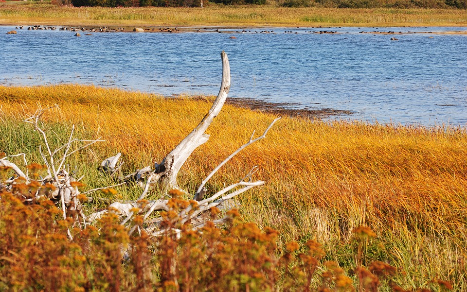 Voyage dans les paysages d'eaux de l'estuaire  ...