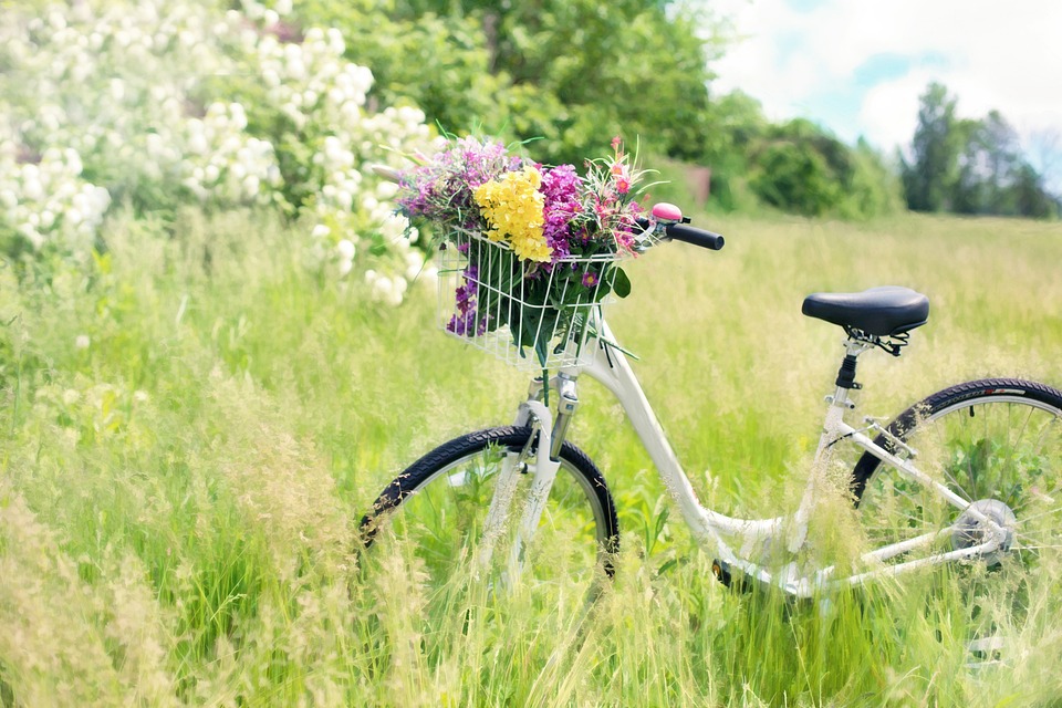 Voyage en vélo dans les paysages d'eaux de l'e ...