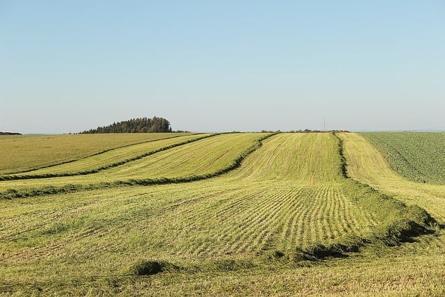 À la découverte de la prairie gagnante du "Con ...