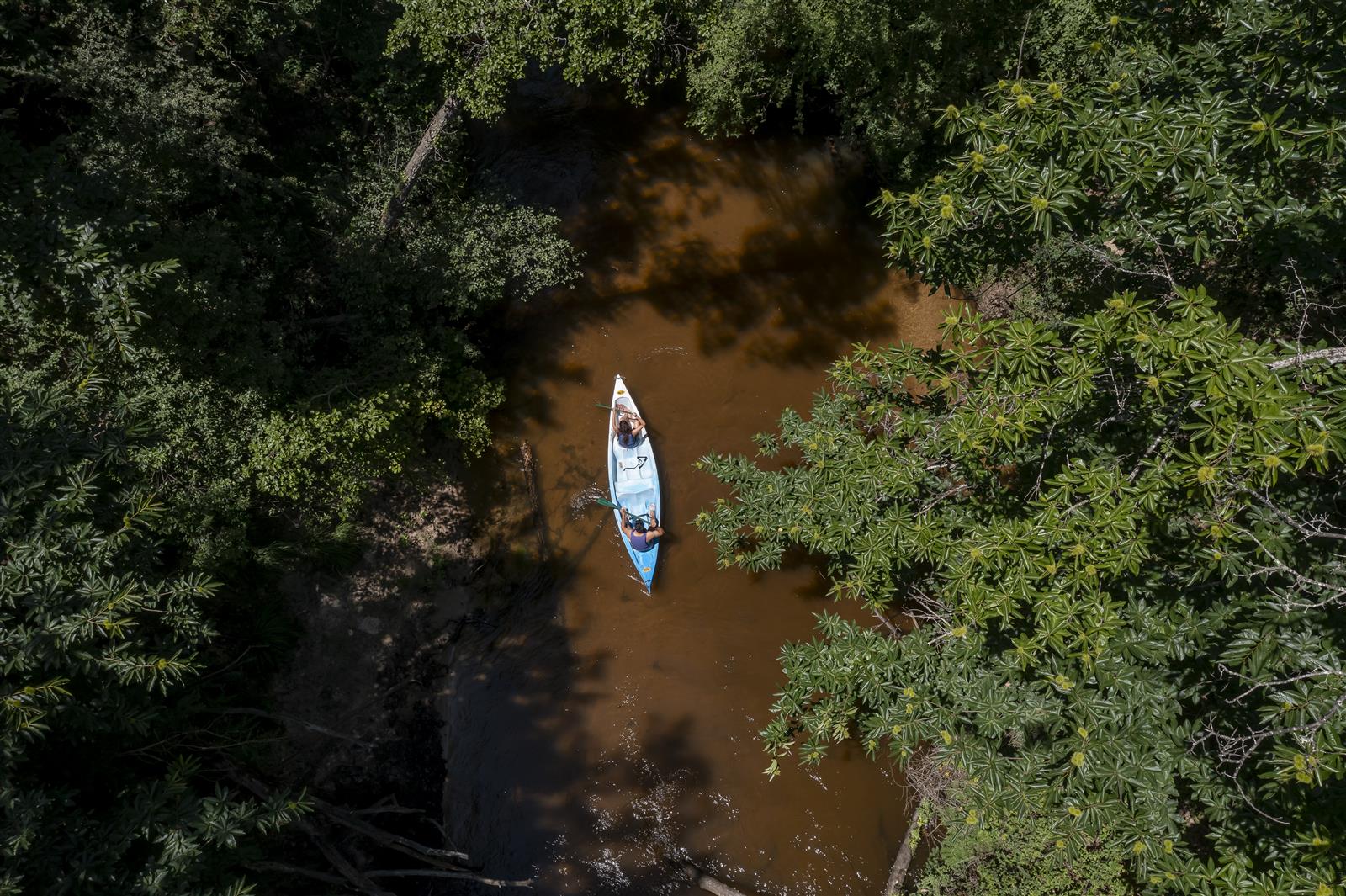 Une partie de pêche sur la Leyre