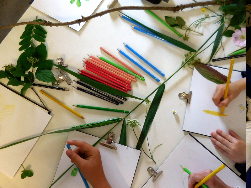 Atelier Initiation au dessin nature à Terres d ...