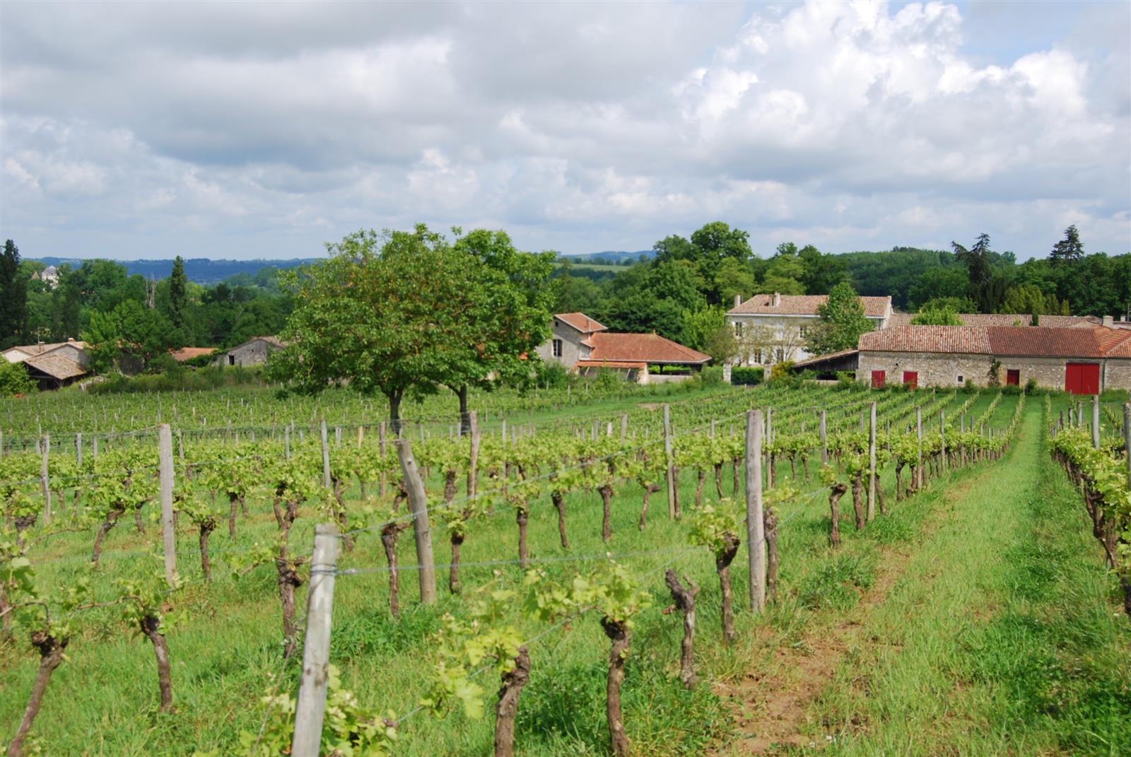 Un week-end, un vigneron indépendant au Châtea ...