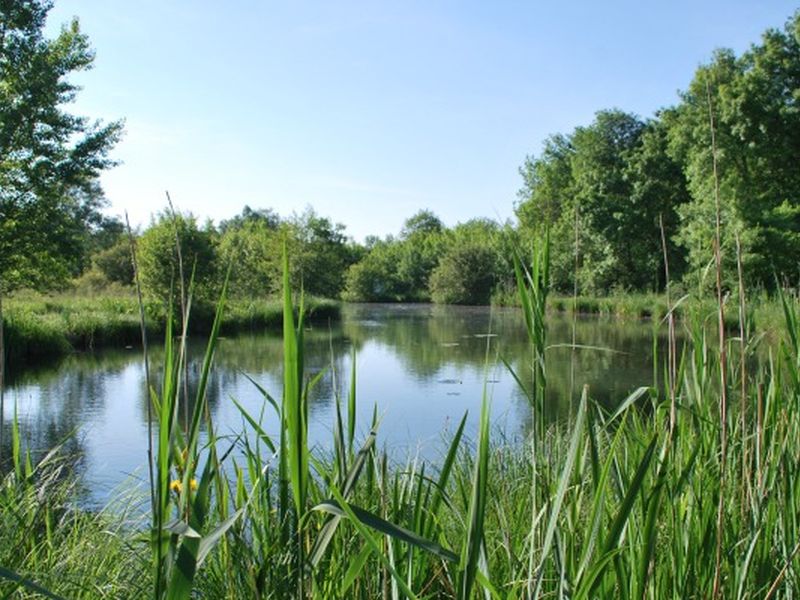 Sortie nature avec le Syndicat du Moron