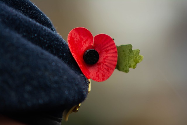 Célébration des 80 ans de l'Armistice : 8 Mai  ...