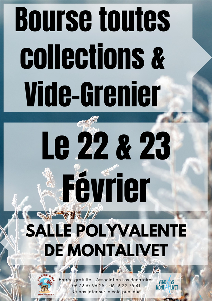 Vide Grenier - Bourse toutes collections