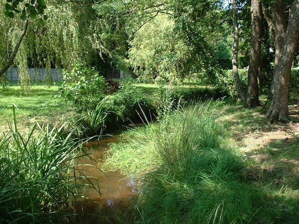 Histoire d'un ruisseau