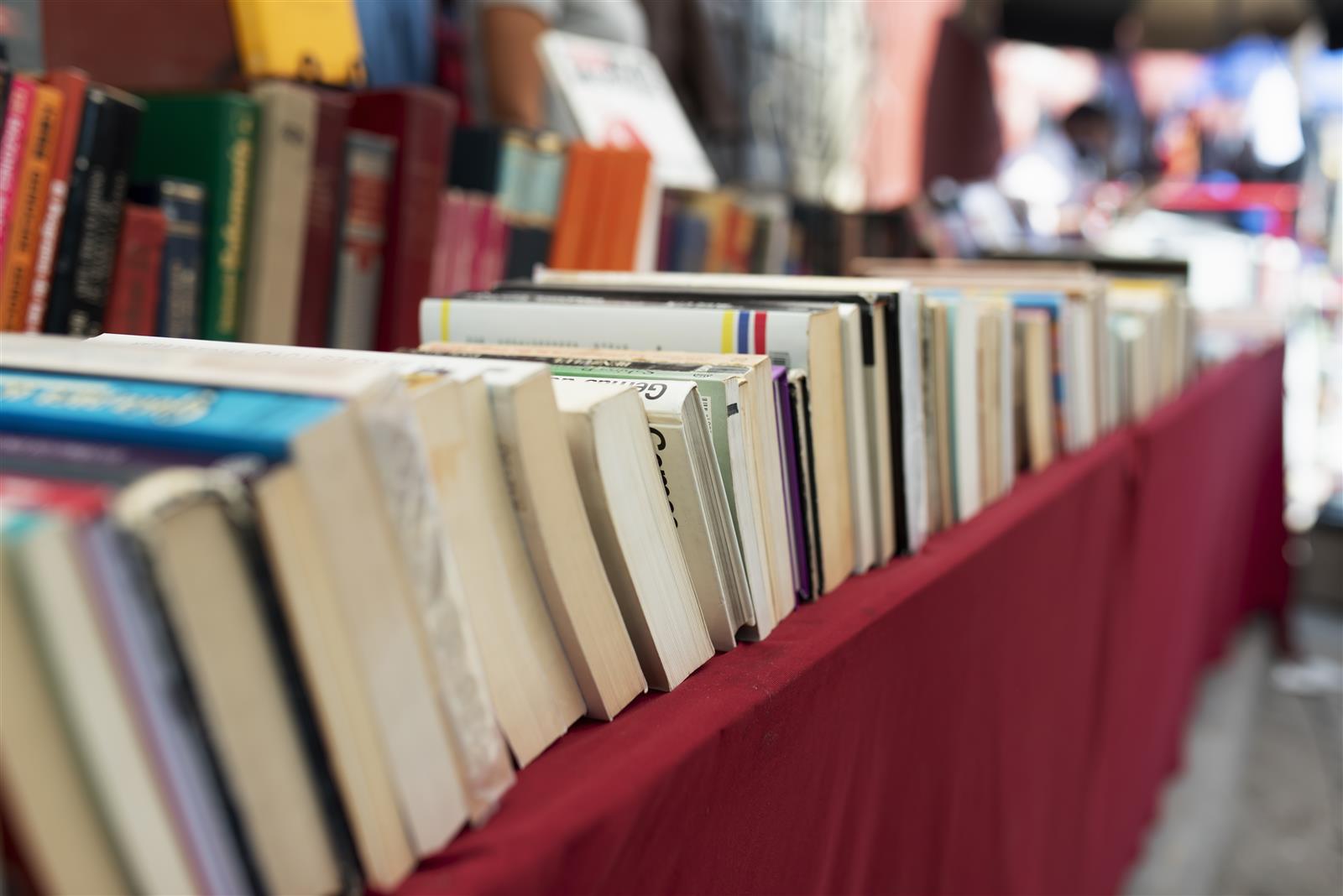 Salon du livre