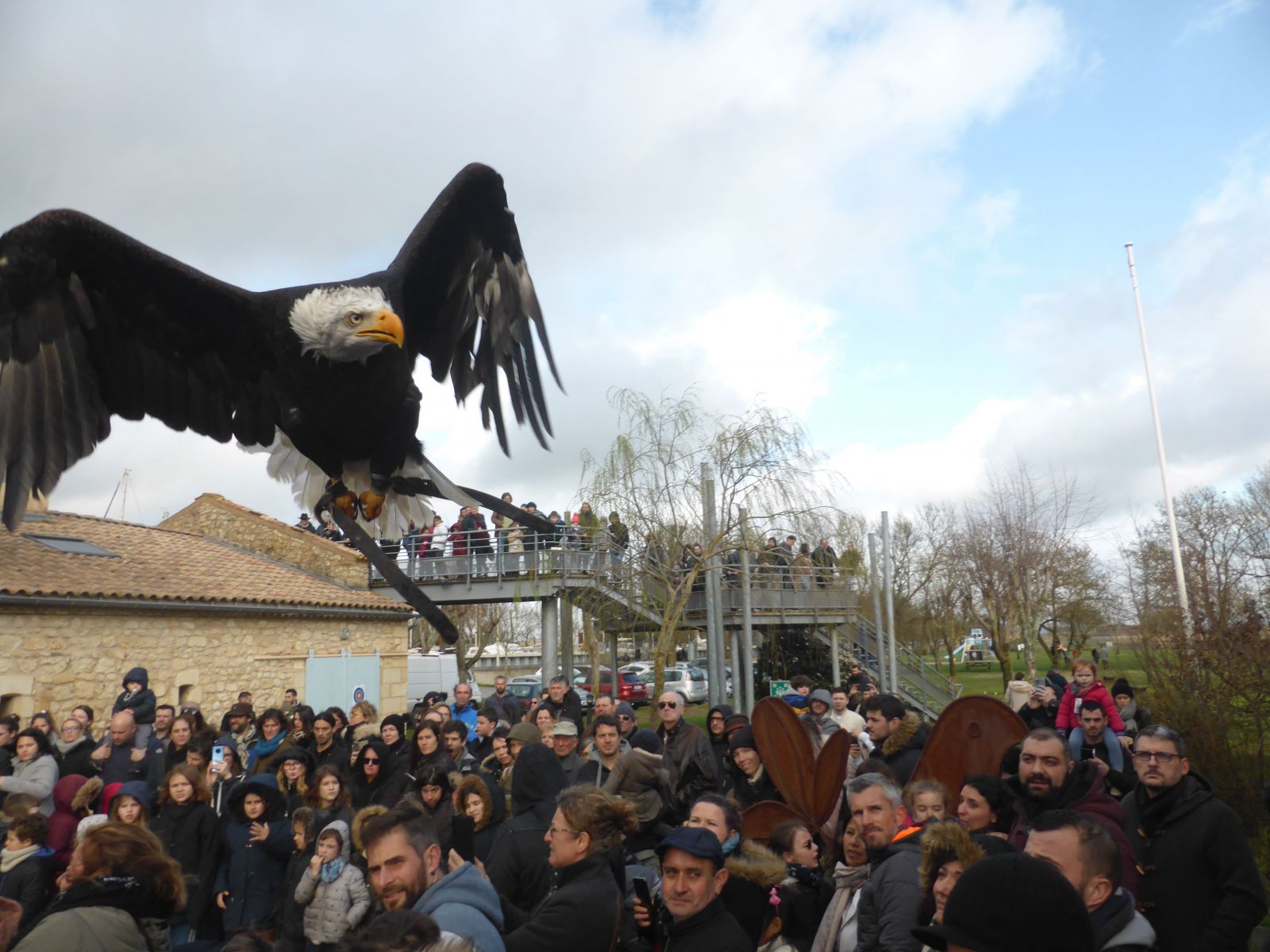 Fête des Rapaces