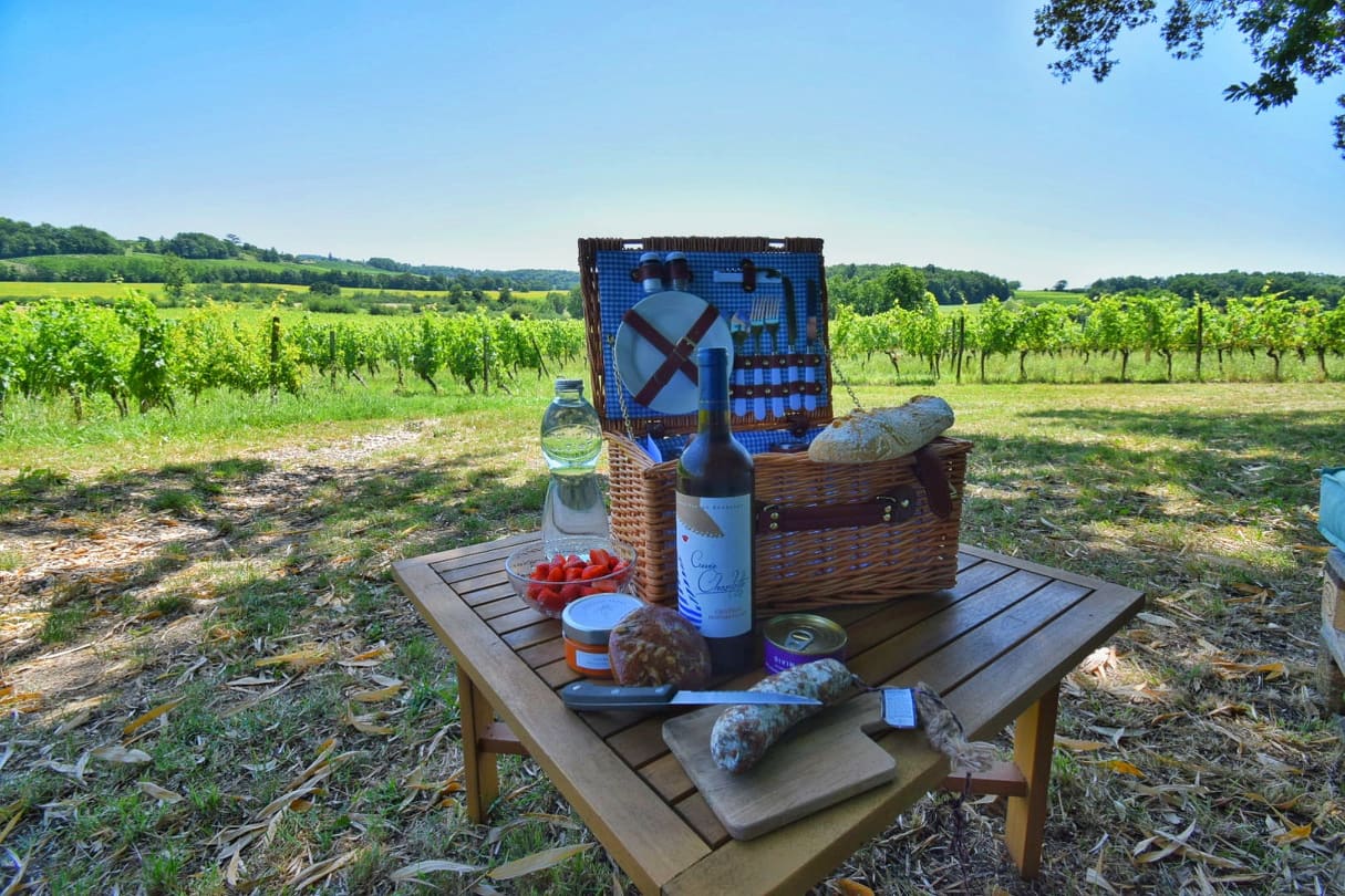 Pique-nique dans les vignes au Château Hostens ...