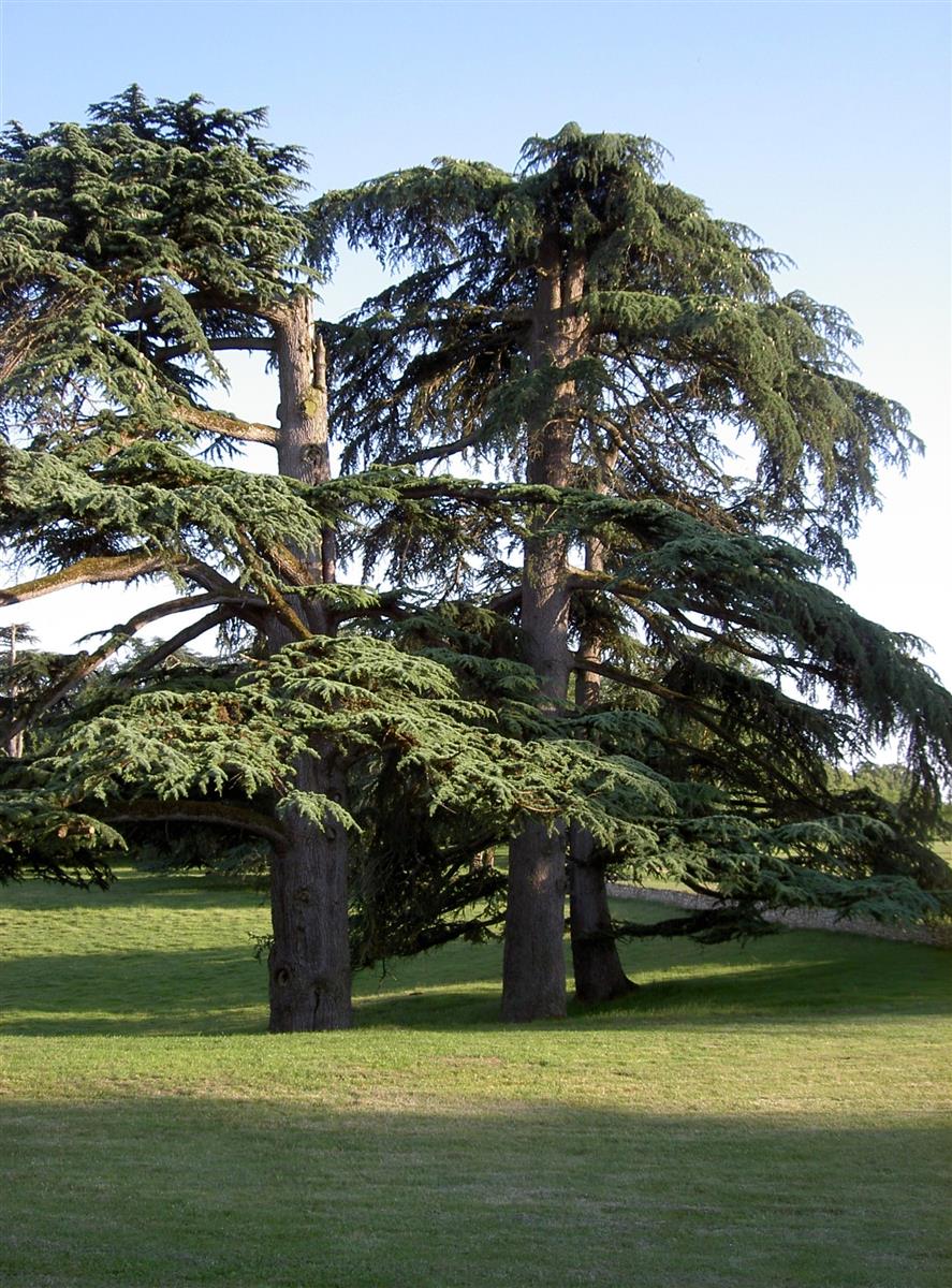 Rendez-vous aux jardins : Château Pierrail