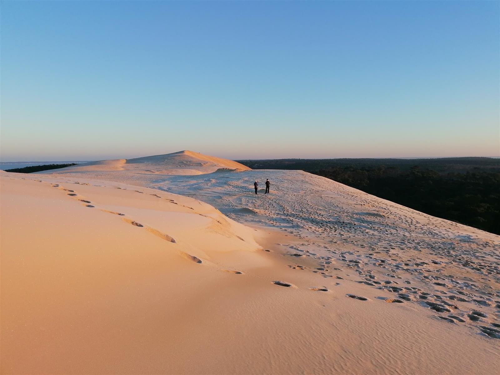 Visite guidée de la Dune du Pilat