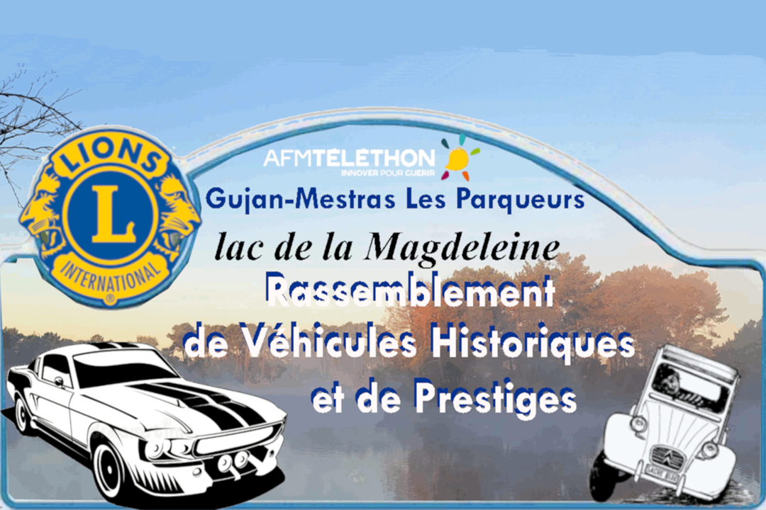 Rassemblement de voitures historiques & de pre ...