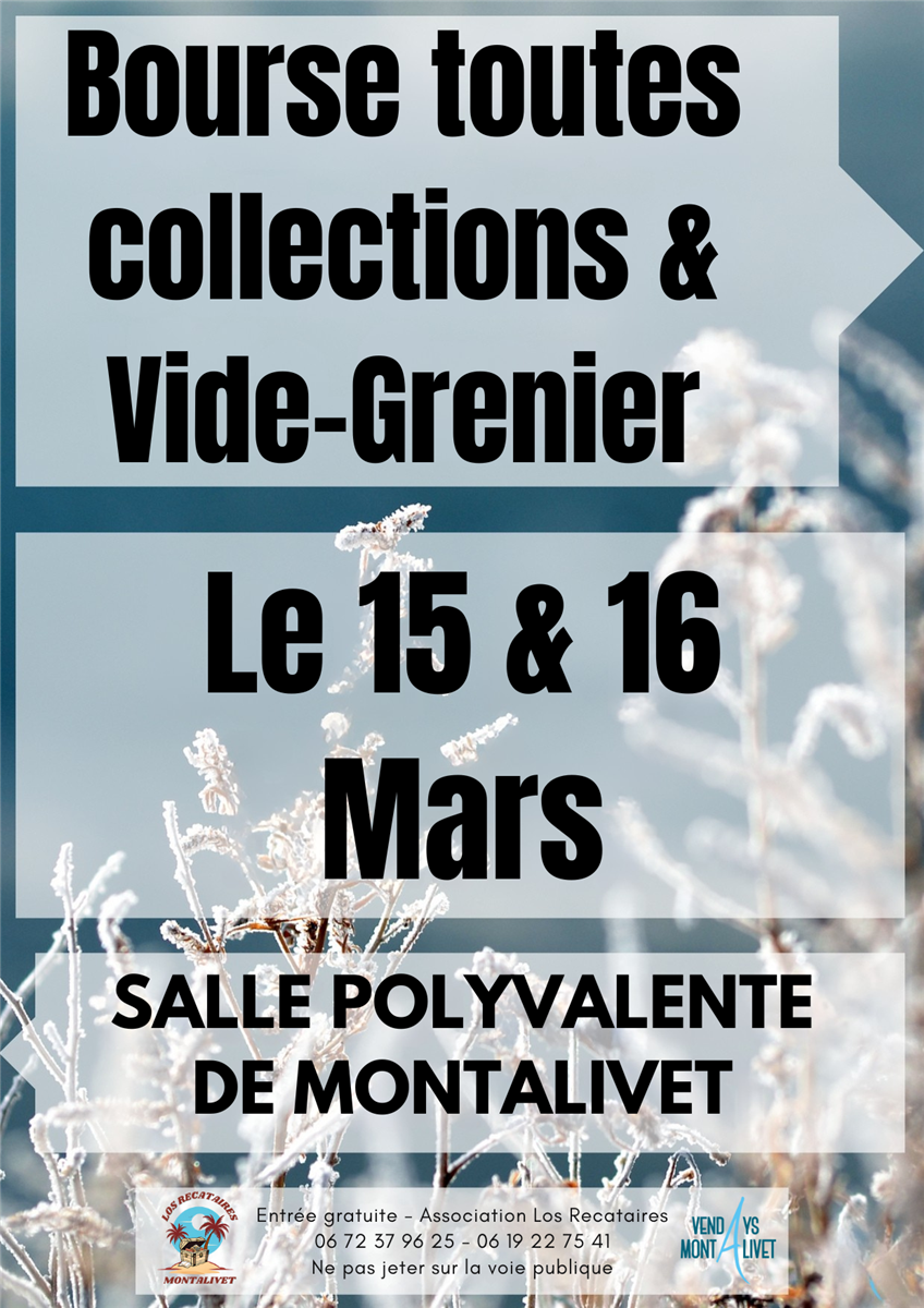 Vide Grenier, bourse toutes collections