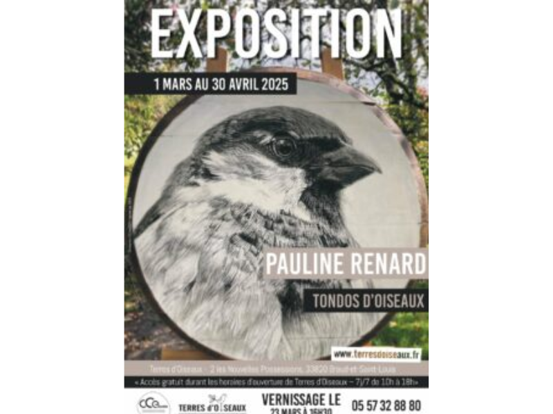 Exposition « Tondos d’oiseaux » par Pauline RE ...