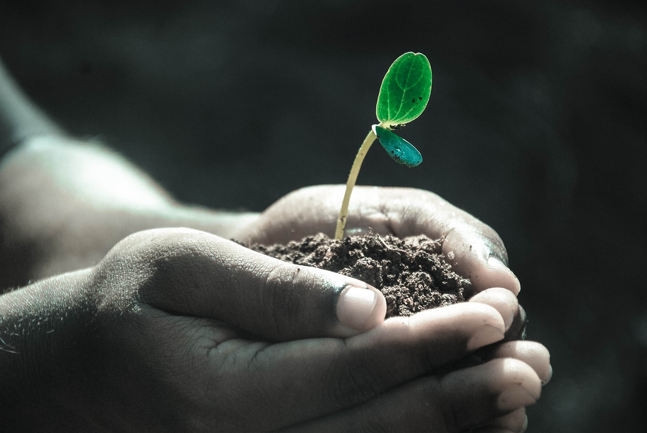 Conférences "Les plantes et leurs secrets"