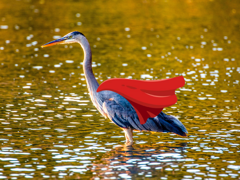 Sortie Natura 2000