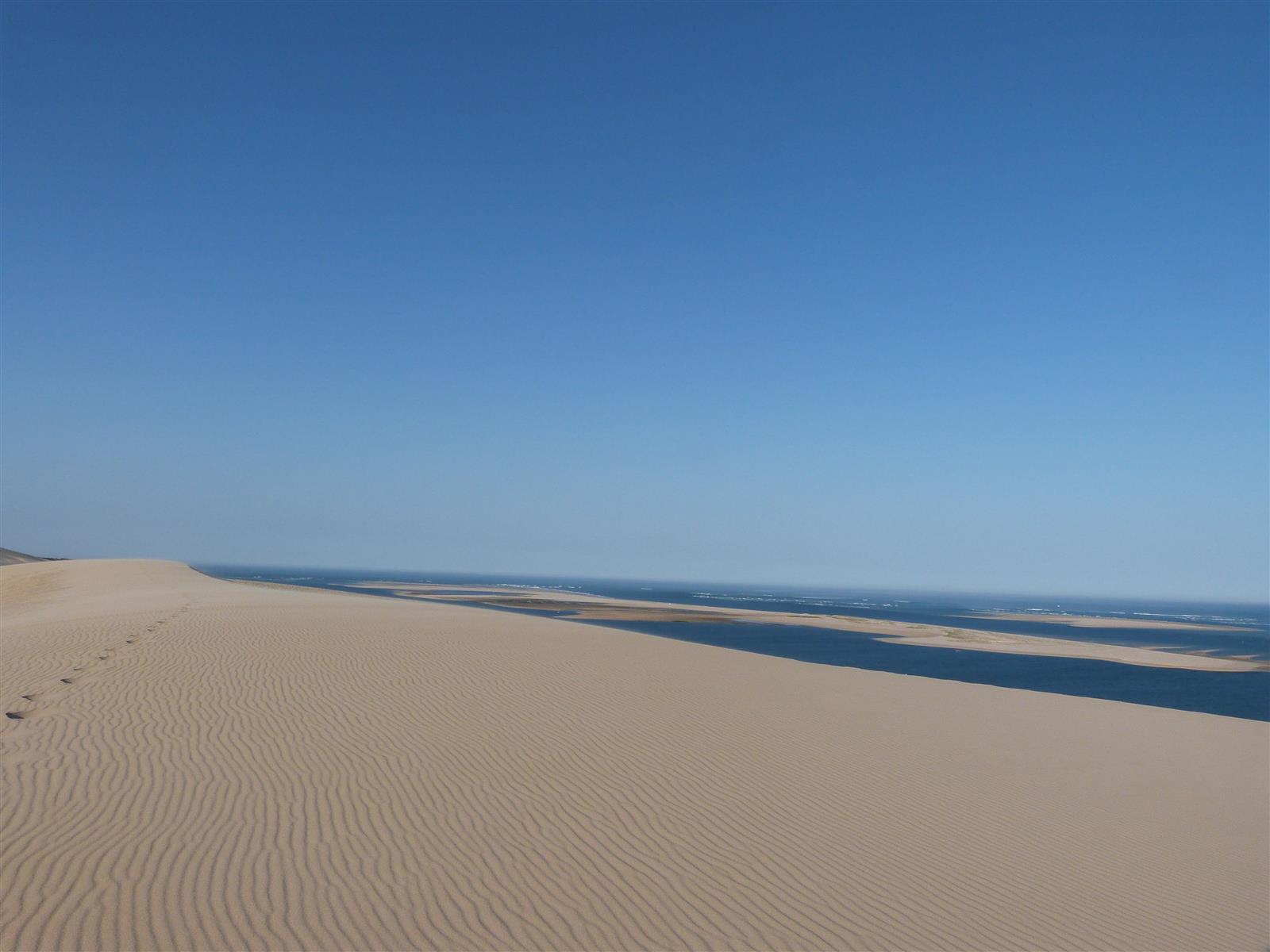 Visite guidée de la Dune du Pilat au Banc d'Arguin