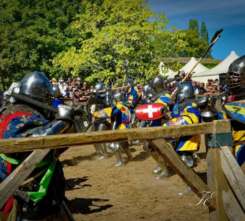 Tournoi d'Aquitaine de Béhourd 2026 au Château Faugas